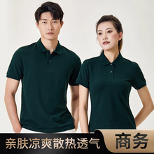 �̄չ��������ƹ��·��Ipolo���̽�����t�����e��ʿ����ӆ��