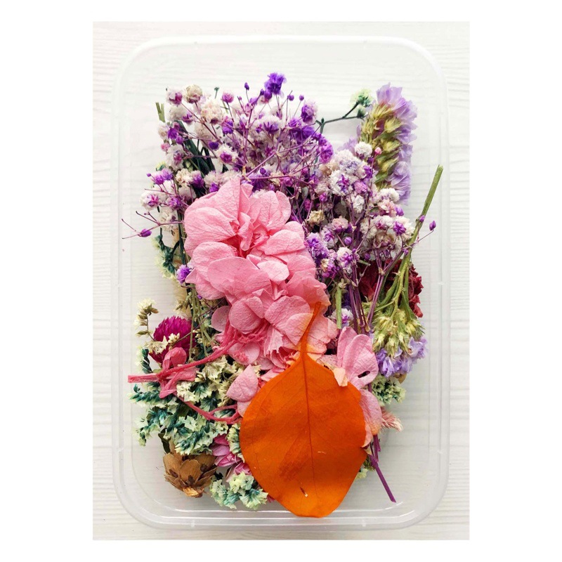 Flor eterna flor seca paquete de material hecho a mano epoxi DIY Vela de aromaterapia flotante flor dispersa fabricante de material de flor