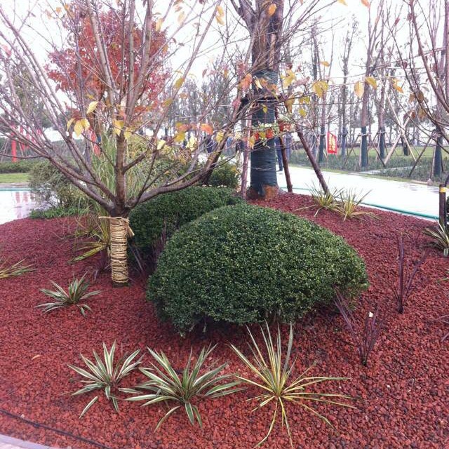 肉肉盆栽铺面石火山石营养土养花通用铺面介质园艺火山石天然火山