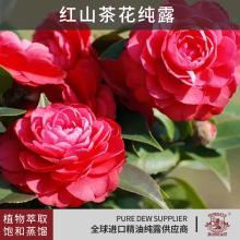 �tɽ�軨��¶�沿�����aˮ����ԭҺɽ�軨��ȡ�ﻯ�yƷԭ�ϬF؛