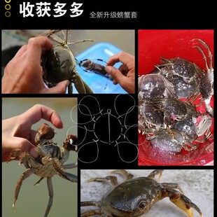���l�з��Ȧ�ֹ���з�h�з���зȦ���b�T�����lз���ò�з����