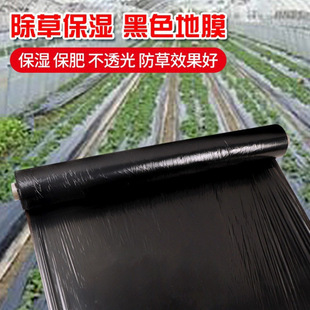 Black Mulch Film for Agricultural Vegetable Gardens, Insulation and Moisture Retention, Anti-Long Fruit Tree Planting Farmland Removal Plastic Tape Film