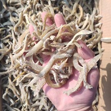 凤尾鱼鱼干 厂家批发淡盐小鱼干 海鲜干货毛花鱼毛刀鱼