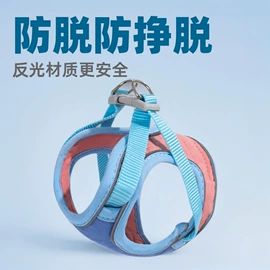 狗狗牵引;猫猫牵引
