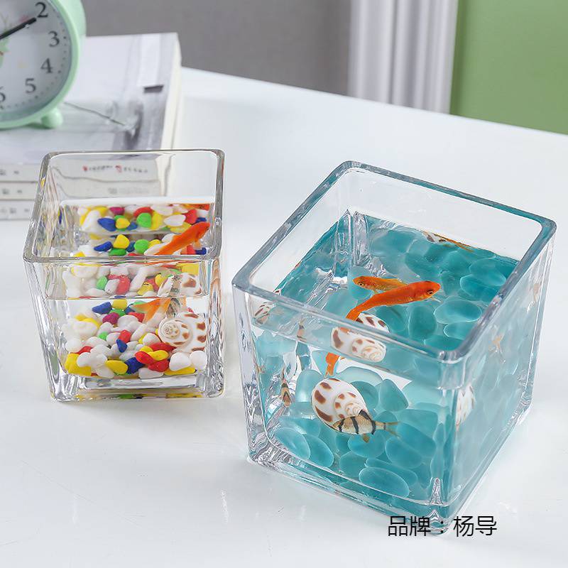 Creative glass small square aquarium