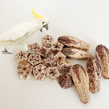 �W�^��ҧ�����B��ߗ��ҹ����ǹ��␞ĥ��diy�W�^ĥ����Ʒ