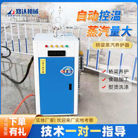 桥梁蒸汽养护器燃油电加热蒸汽发生器全自动锅炉混凝土蒸汽养护机