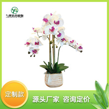 �羳���滨�[����������m���Լٻ��͏d���滨�ܾGֲ�[�O�b����l