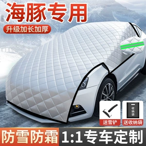 Byd Dolphin üçün ön şüşəyə qarşı donma və qar örtüyü