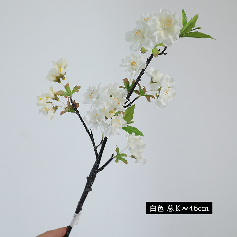 흰색(꽃 11송이)