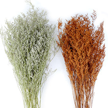 ˲ݸɻ ɭϵ滨 Ҿbˇ廨 DIYֹ