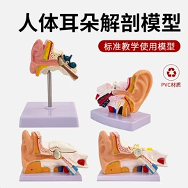 教学演示用品;学校课桌椅;医药教学器材