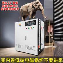 电磁变频锅炉用壁挂采暖炉220v新型三相电380v地暖取暖加热农村