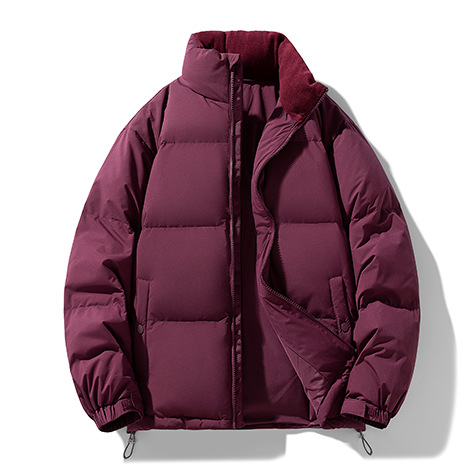 Chaqueta de plumón de gama alta para hombre con cuello alto grueso y cálido marca de marea chaqueta juvenil de plumón de pato blanco moda casual ropa de hombre de lujo ligero