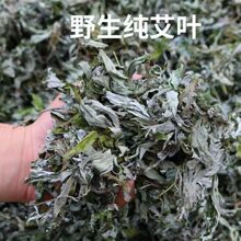 南阳野生艾叶艾草端午节艾叶香料香包驱蚊天然艾草家用批发