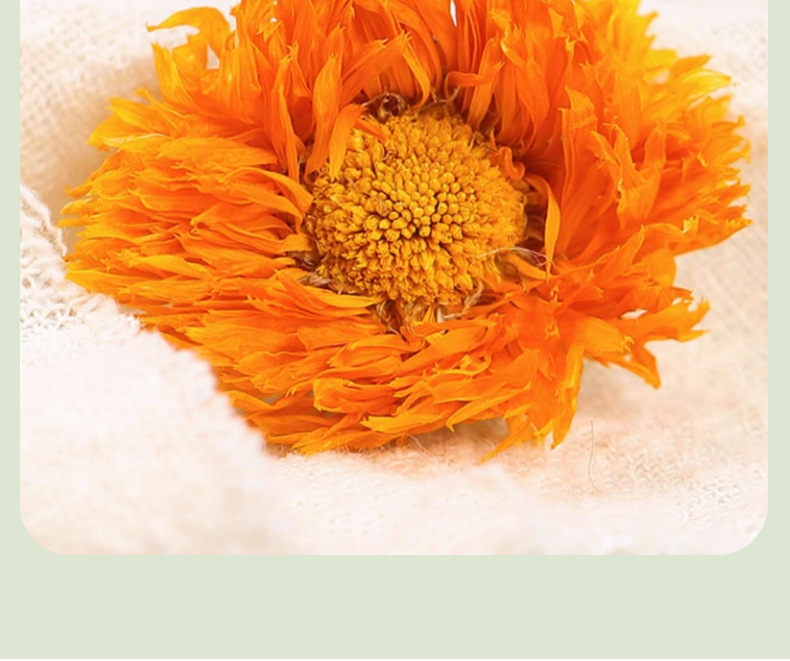 Dried Calendula Flowers Jin Zhan Ju 500g Bulk Loose Petals for Herbal Tea and Infusions in use