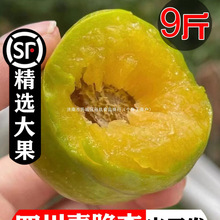 �Ĵ�Ó����������������rˮ�������������ӬFժ5��������