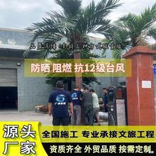 仿真椰子树大型外贸海枣树沙滩广场水上乐园绿化造景工程假棕榈树