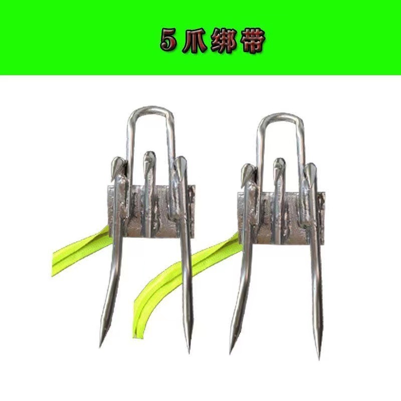 499376ea9e274ebdc6f21fb352f4da