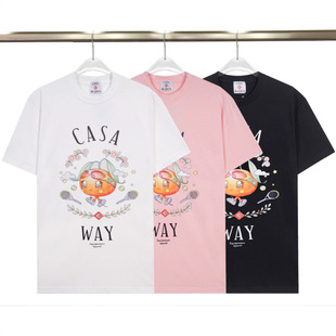 ���_���m���¿���� �羳���Ƅ�����ӻ�����ĸCASAӡ���A�It����