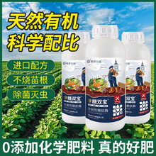 ϼ΢ѷʷţ༦෢лӪ