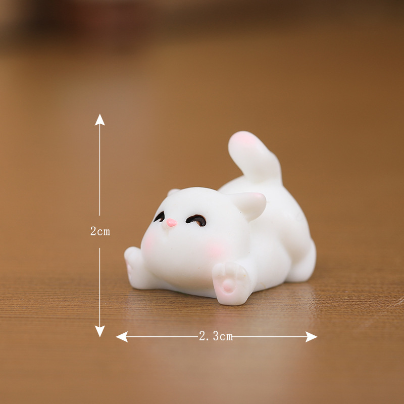 4号趴姿白猫