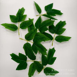 ����3��ĵ���~���~õ���~���~���~�ӽ����~���滨����G�~������