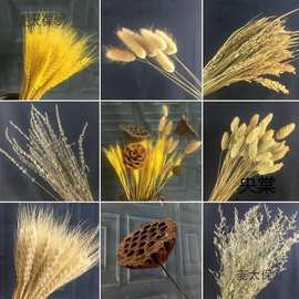 幼儿园环创走廊墙秋天主题秋季氛围装饰秋天环创植物角材料麦太保