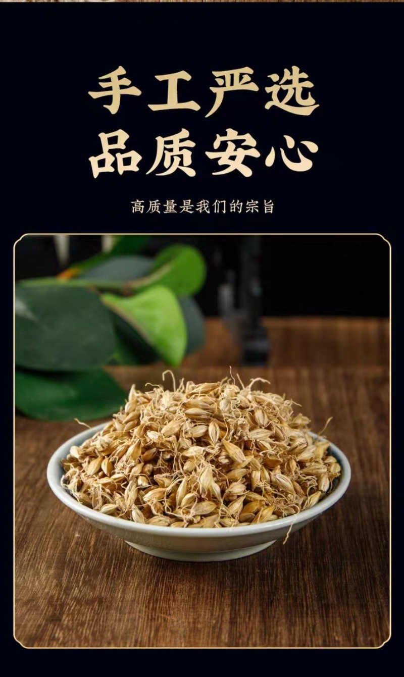 Malt (Hordeum vulgare) — Dried Food-Herb Barley Sprout, 500g overview
