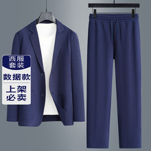 2025新款秋季男式西服套装男士休闲开衫套装宽松便西长裤两件套男
