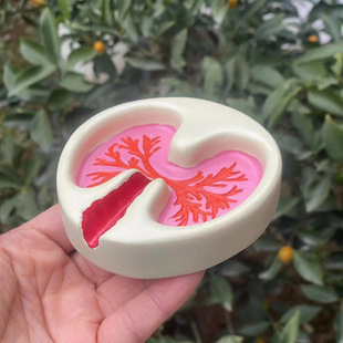 �羳ashtray a pink lung���Ԅ����֬���Ҹה[����ɫ���bY��