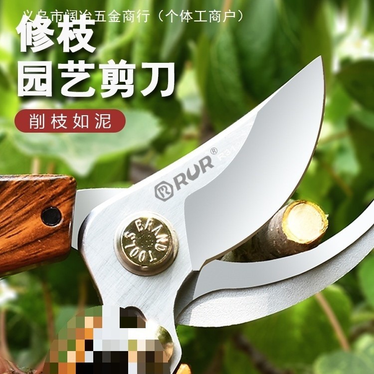 批发修枝剪园艺剪刀剪树枝剪刀粗枝剪园林修剪果树修枝花艺修花剪