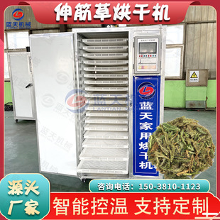 늼ӟ����ݺ�əC ����С�����ݪ{�Ӳݺ���� �в�ș�ĺ�ɷ�