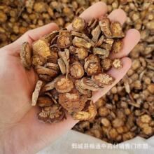 ��ș�ĬF؛ �t��500g��Ѫͨ��Ѫ����ș��ɢ�b�r�aƷ��t��