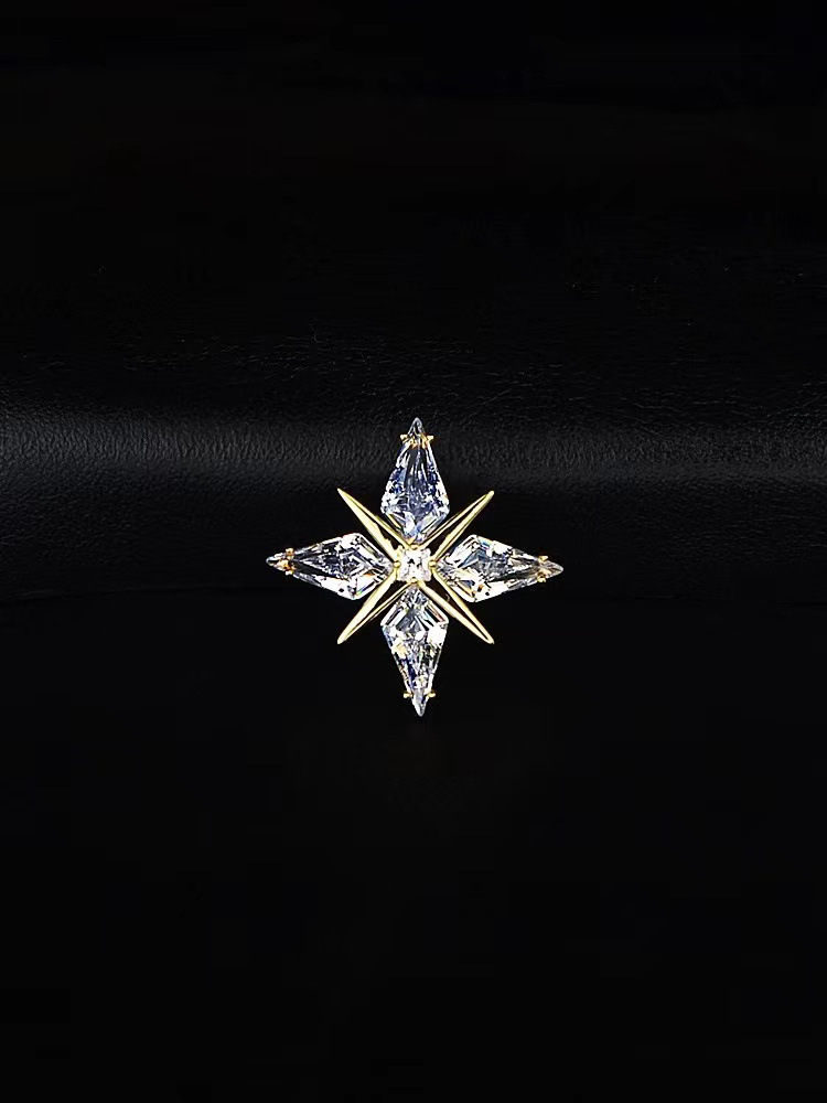 Starlight reversspeld broche voor dames en heren pak accessoire_voghion.com