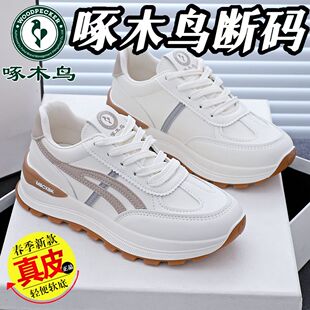 ��ľ�B��a��ƤС��ЬŮ2025�����¿����m�ٴ�ܛ���p������\��Ь