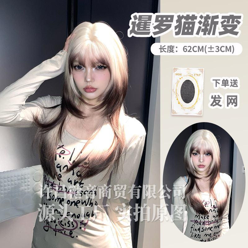 샴 고양이 그라데이션