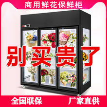�r������ؙ����r��չʾ���L�仨���䙙��������r�����������