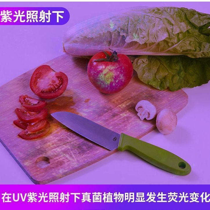 蔬菜检测紫光灯鉴定荧光剂波尔多液照菜农残霉菌可充电蓝光灯|undefined
