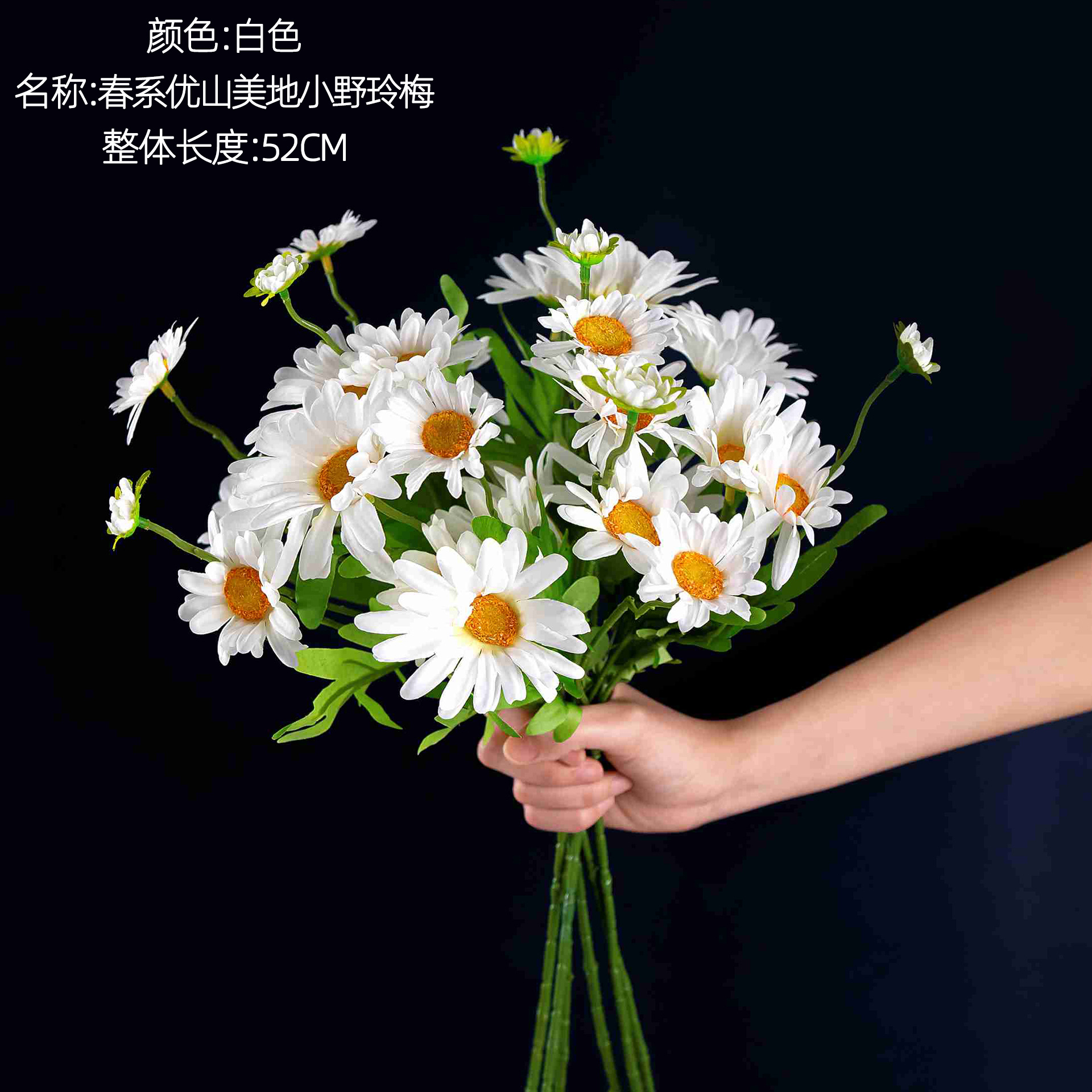 화이트
