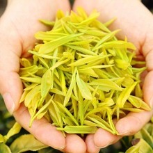 黄金芽2024年新茶春茶 安吉明前绿茶白茶口粮茶叶250克袋装