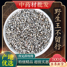 中药材野生特级王不留行炒王不留行籽500g克可搭路路通通草正品