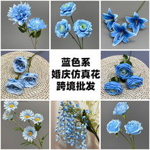 �{ɫϵ���滨�������Ļ�c���������{õ���Y�õ���·���b�