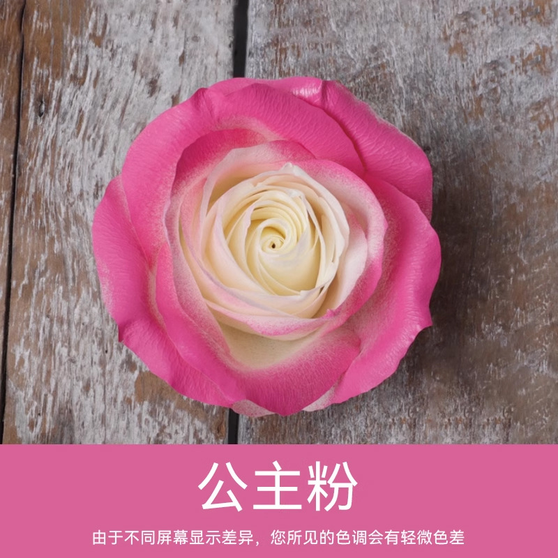 Material de embalaje de flores frescas Agente de tinción en aerosol de flores secas Salsa de ciruela negra Pintura en aerosol de flores Pintura en aerosol de flores Agente de color de flores