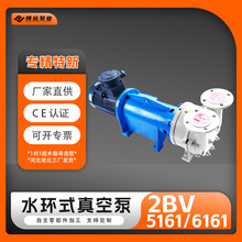 ���ҹ�Ӧ2BV5161/6161ˮ����ձ���������ֹ�ҵ������豸Һ����
