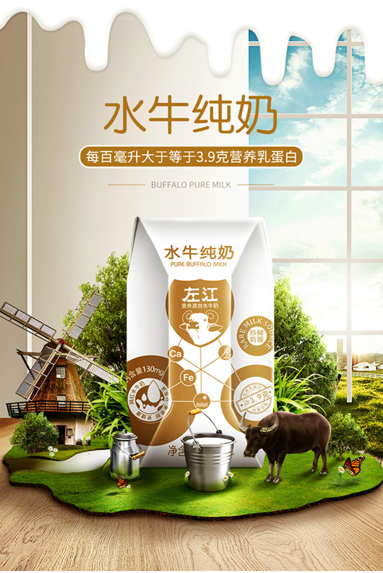 广西左江水牛奶纯奶210ml10盒儿童奶早餐奶批发纯奶整箱新日期-阿里巴巴