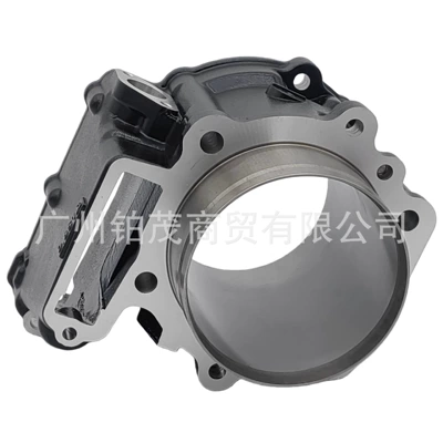 650Cc Cylinder Piston Assembly – Cylinder and parts