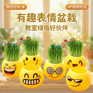 (���Ͽ��ſ����)һ�����lDIY��ݷNֲ����ħ���҃ȷNֲ �L������
