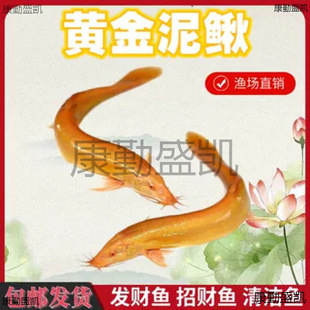 ���q�絭ˮ�^�p�~���S�����q�����q�~���坍�~�����~����B����