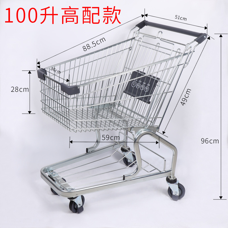 실버 100 제기 독일어